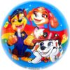 Paw Patrol Playball 23cm