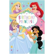 Disney Princess Birthday Card