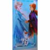 Disney Frozen Towel - Beach Towel