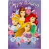 Disney Princess Birthday Card