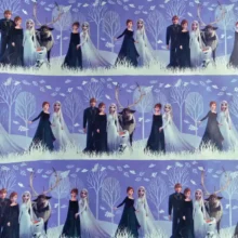 Disney Frozen Wrapping Paper - Roll 2m X 700mm