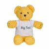 Play School Soft Toy Big Ted