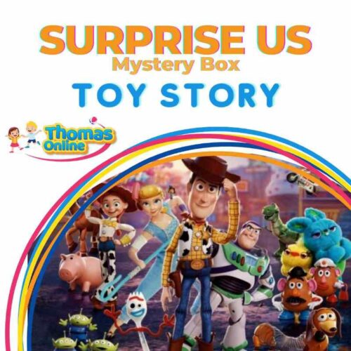 Surprise Us Mystery Box Toy Story