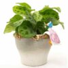 Peter Rabbit Pot Buddies - Jemima Puddle-Duck