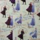 Gift Wrapping Service - Disney Frozen