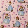 933559558641Sofia Sofia The First Roll Giftwrap 2M X 700Mm