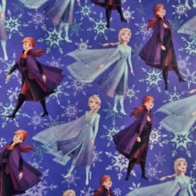 Disney Frozen Wrapping Paper - Roll 2m X 700mm