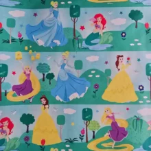 Disney Princess  Wrapping Paper - Roll 2m X 700mm
