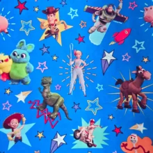 Gift Wrapping Service - Toy Story