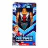 Masters Of the Universe Figure - Large - He-Man
