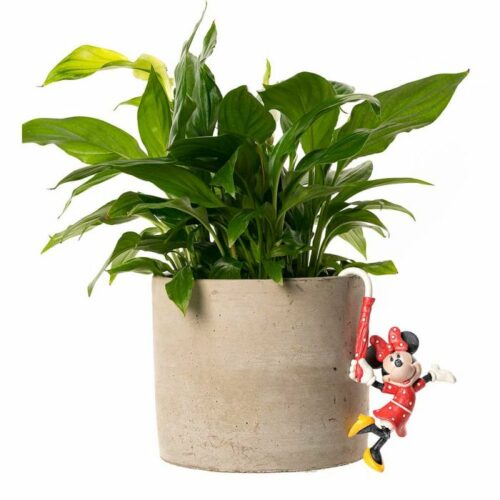Mickey And Minnie Mouse Pot Buddies - Minnie Mouse - Image 2