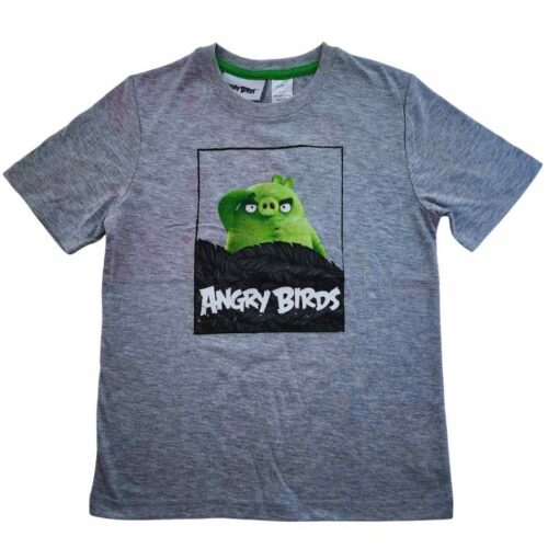 Angry Birds T-Shirt - Size 7