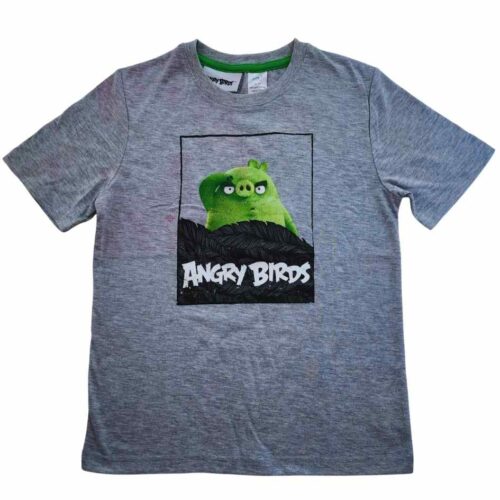 Angrybirds7Gray