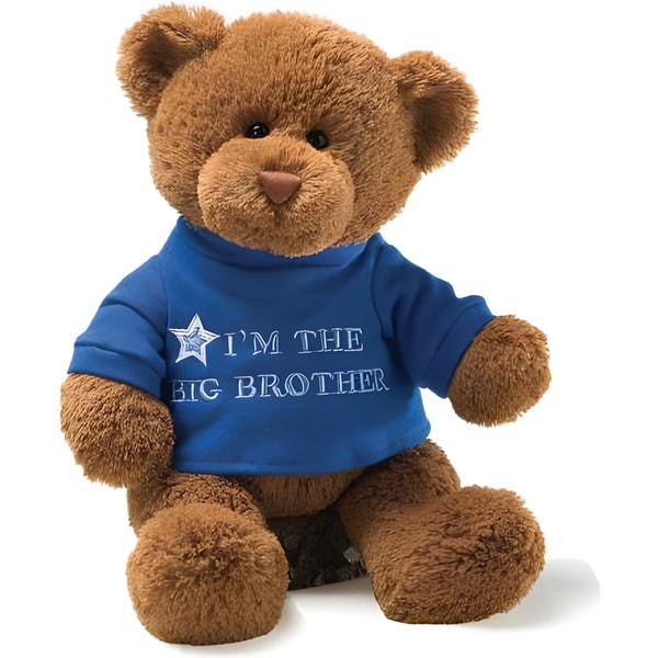 Gund Soft Toy - Big Brother 1 Gund Soft Toy - Big Brother