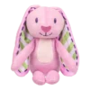 Bluey Soft Toy - Floppy