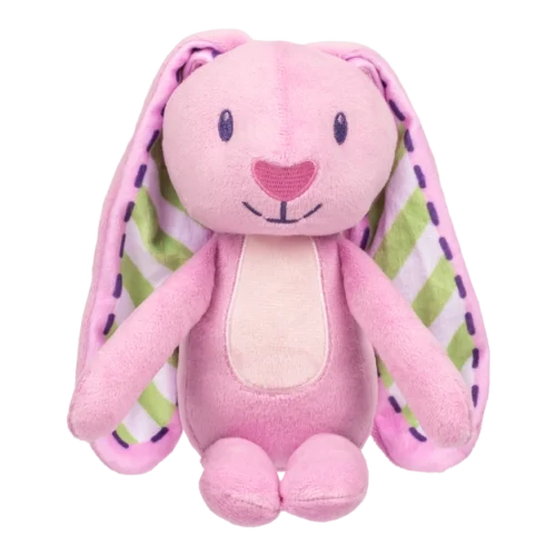 Bluey Soft Toy - Floppy