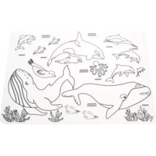 Moana Road Animals of Aotearoa Silicone Colouring Placemat