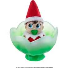 The Elf on the Shelf Frost Pips - Boy with Blue Eyes 8 The Elf on the Shelf Frost Pips - Boy with Blue Eyes