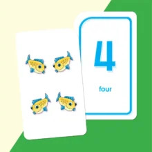 Alternative view of School Zone Flash Cards Numbers 0-25