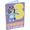 Bluey 3rd Birthday Card