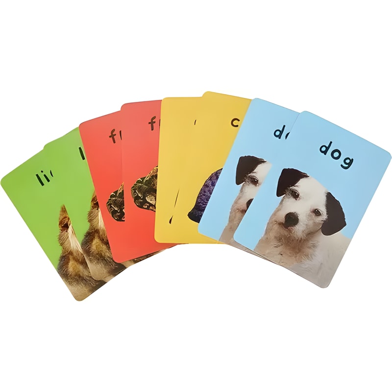 First 100 Animals Matching Card Game 2 First 100 Animals Matching Card Game - Image 2