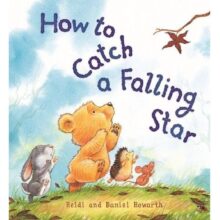 How to Catch a Falling Star Picture Book