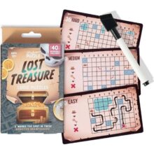 Alternative view of Professor Puzzle Lost Treasure Logic Puzzles 40 Challenges