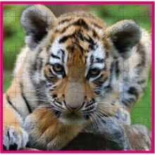 Alternative view of WWF Jigsaw Puzzle 100 Pieces Tiger Cub